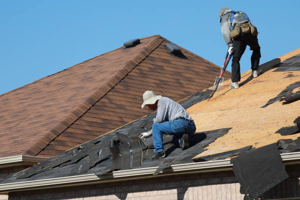 Best Solar Panel Roofing Installation  in Ambridge, PA